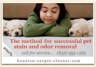 pet stain & odor removal Houston, TX