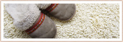 Carpet Cleaning Houston, TX